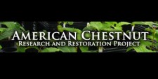 American Chestnut Research and Restoration Project