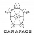 Carapace Analytics